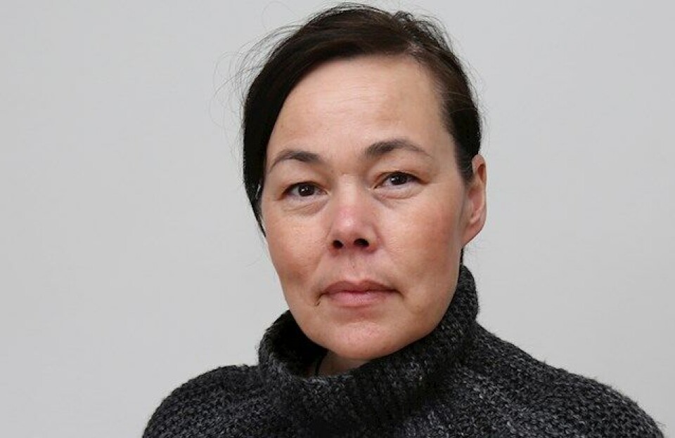 Ny bestyrelse for Arctic Hub udpeget