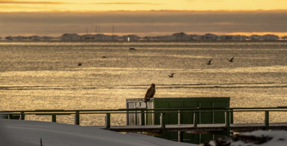 På spørgsmålet hvilke omkostninger, det vil have for Landskassen at indføre en seks måneders betalt orlov ved dødsfald af de allernærmestepårørende, melder Naalakkersuisut hus forbi i første omgang.
