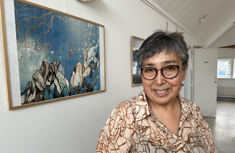 Ane Hansen: Solid fundament trods udfordringer