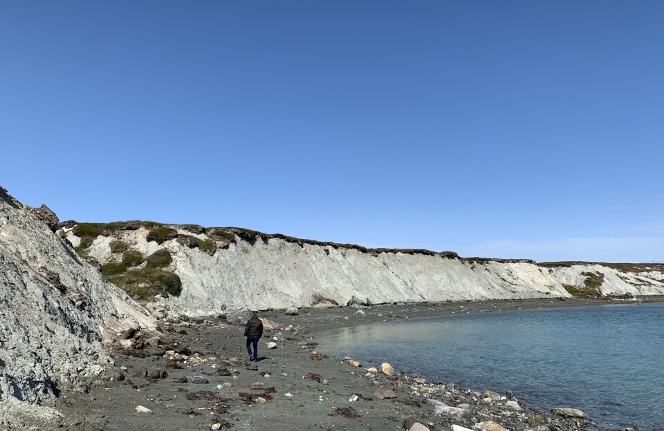 Nu begynder jagten på gletsjermelet