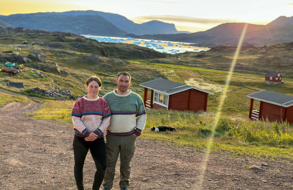 Uran og klimaforandringer skaber bekymring: Hos fåreholderparret Aviâja og Klaus fylder fremtidens usikkerheder