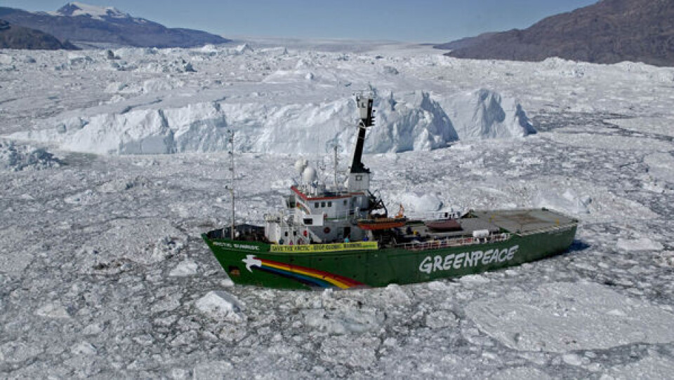 I 2005 var Arctic Sunrise også på besøg i Grønlands farvande. foto Greenpeace