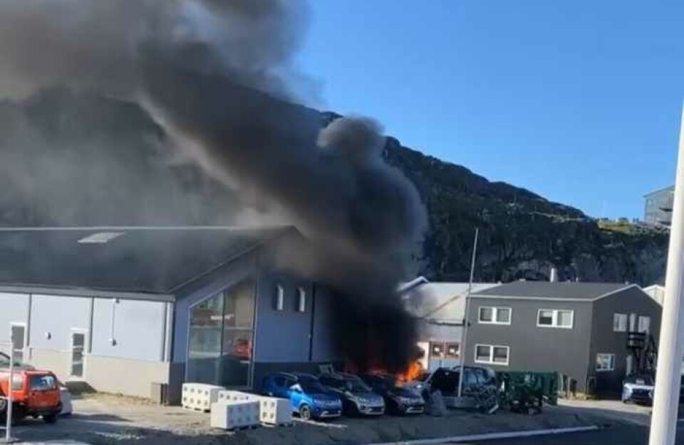 Nuummi biilit pingasut ikuallattut