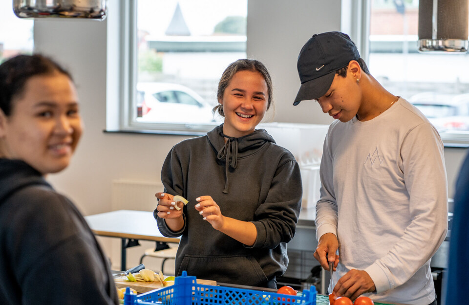 Danmarkimi ukioq ataaseq efterskolerneq