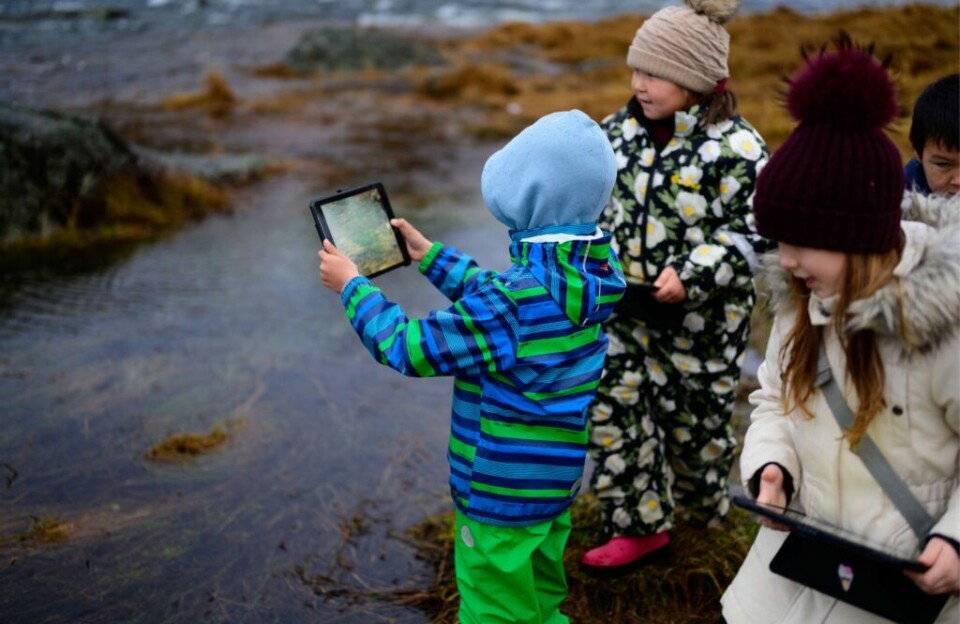 Sermersooq: 15 millionit koruunit Kivitsisamut