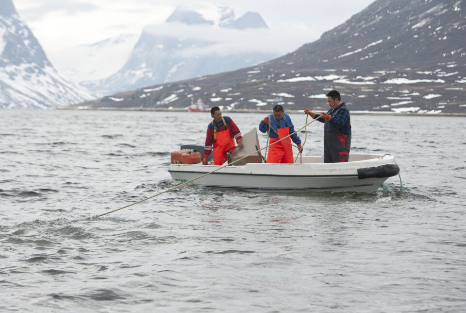 Naalakkersuisut forlænger licenser