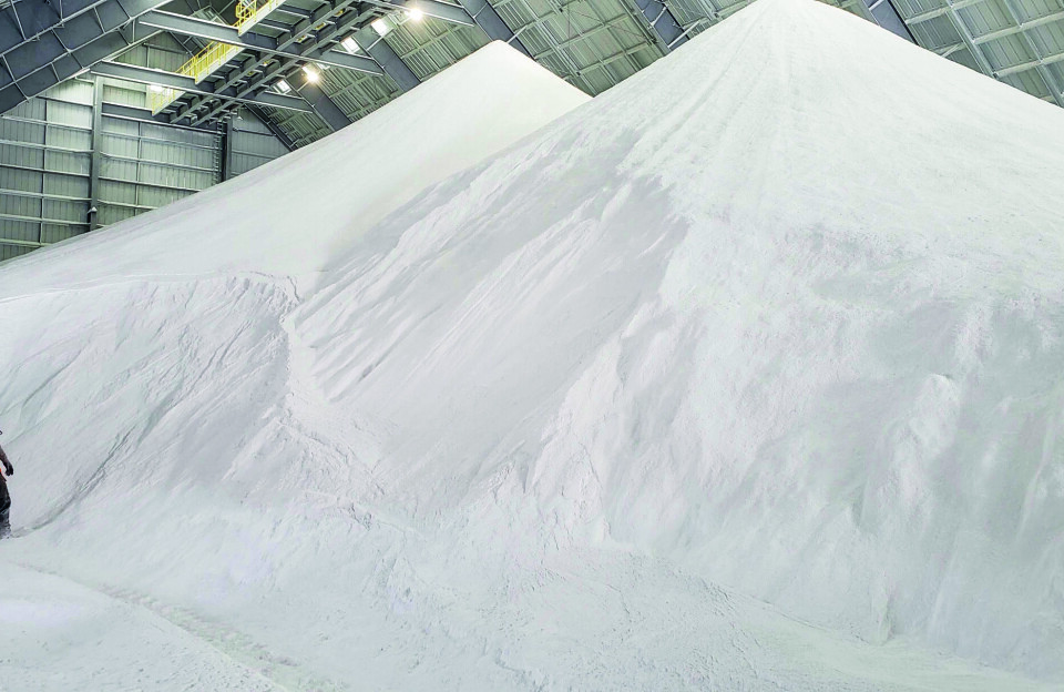 Ilinniartitaanermut aningaasaateqarfik qinnuteqarfigineqarsinnaalersoq