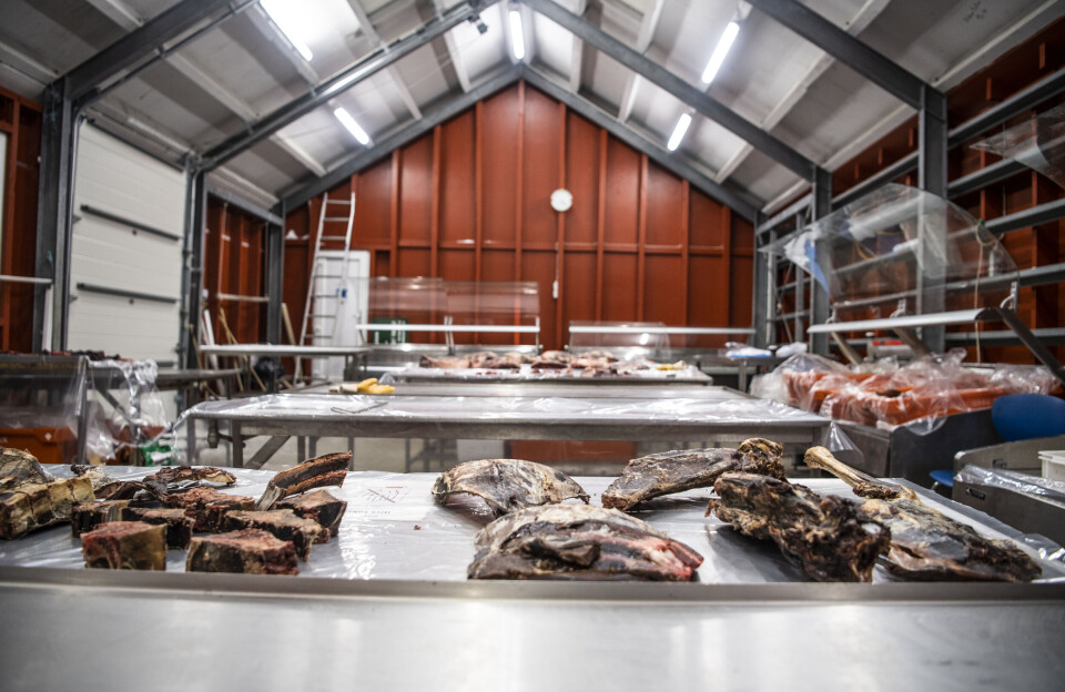 Najaaraq Møller: Imminut pilersorsinnaaneq anguneqartariaqartoq