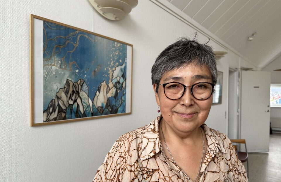 Borgmester Ane Hansen: Lær af kommunerne