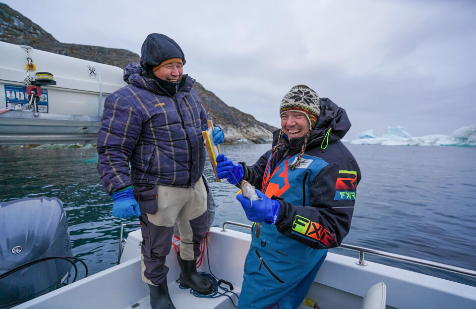 Iværksætterpar i Ilulissat: – Forberedelserne til fremtiden er startet