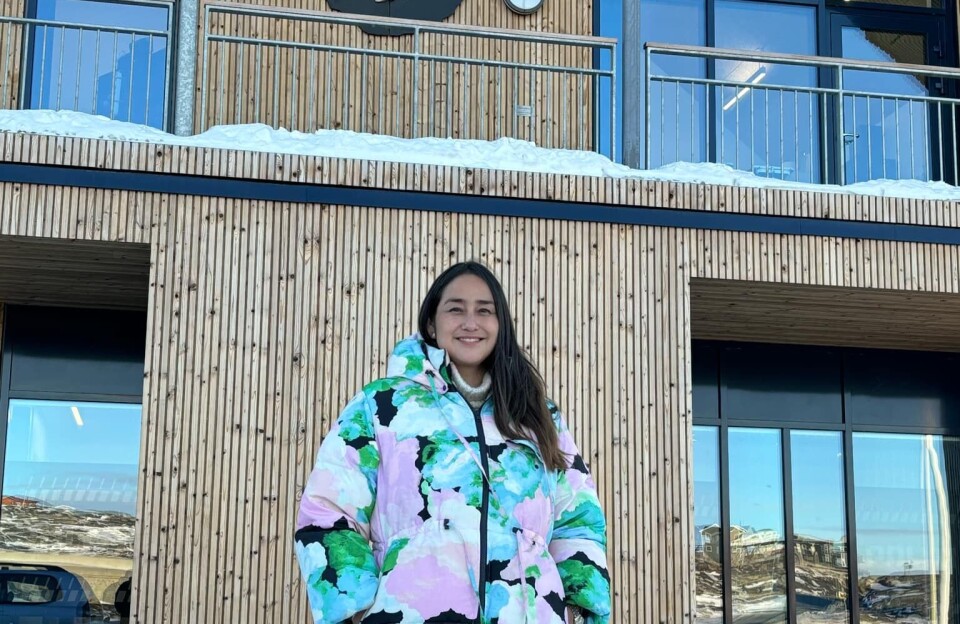 Kunstnerisk udsmykning pryder politistationerne i Upernavik og Ilulissat