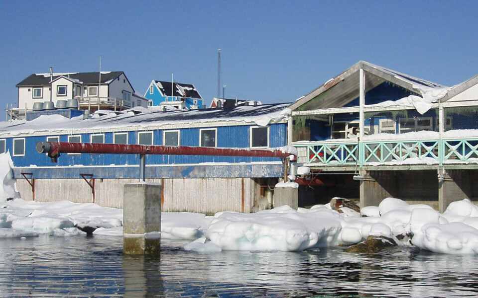 Arkivfoto af Kangaatsiaqs fiskefabrik