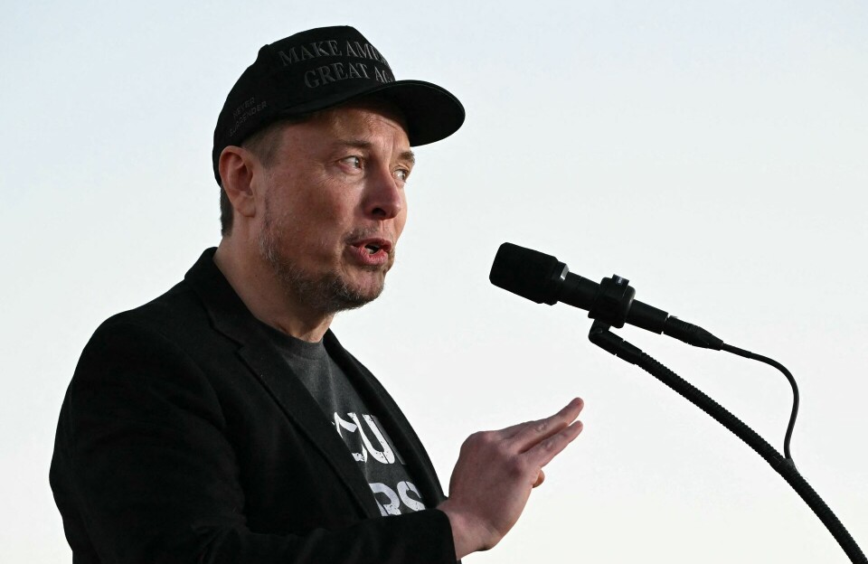 Musk udpeget af Trump - vil lave pointtavle over dummeste brug af skattepenge