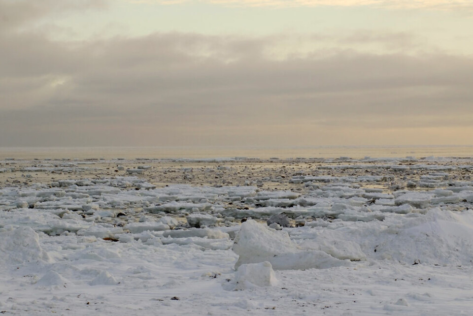 Havstrømme, Polfoto, is