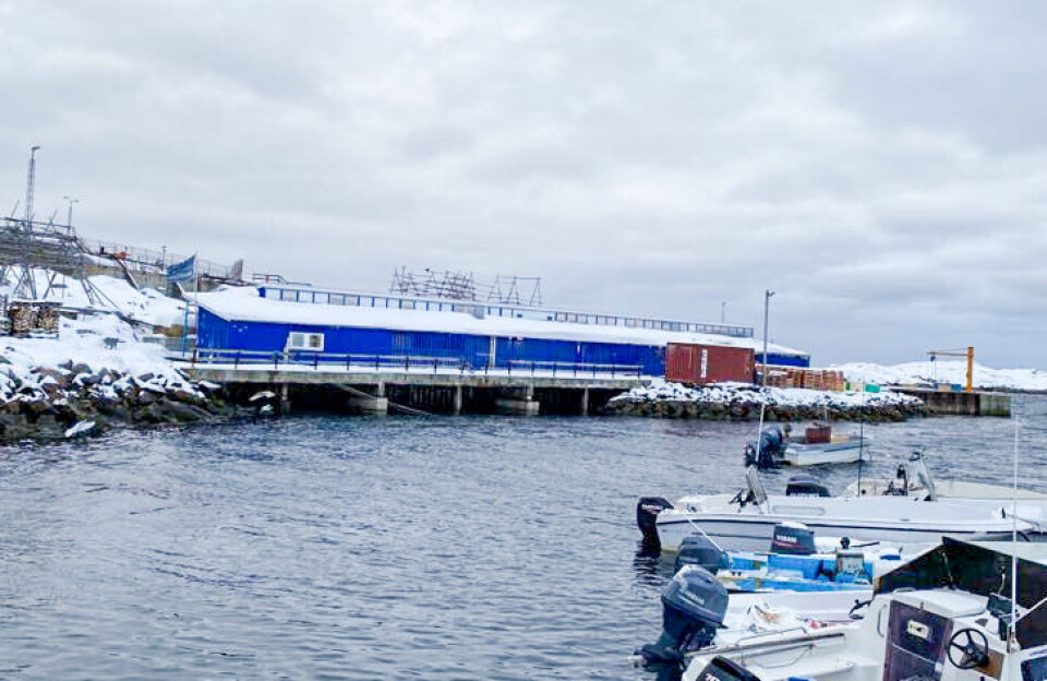 Bygder i indhandlingsproblemer