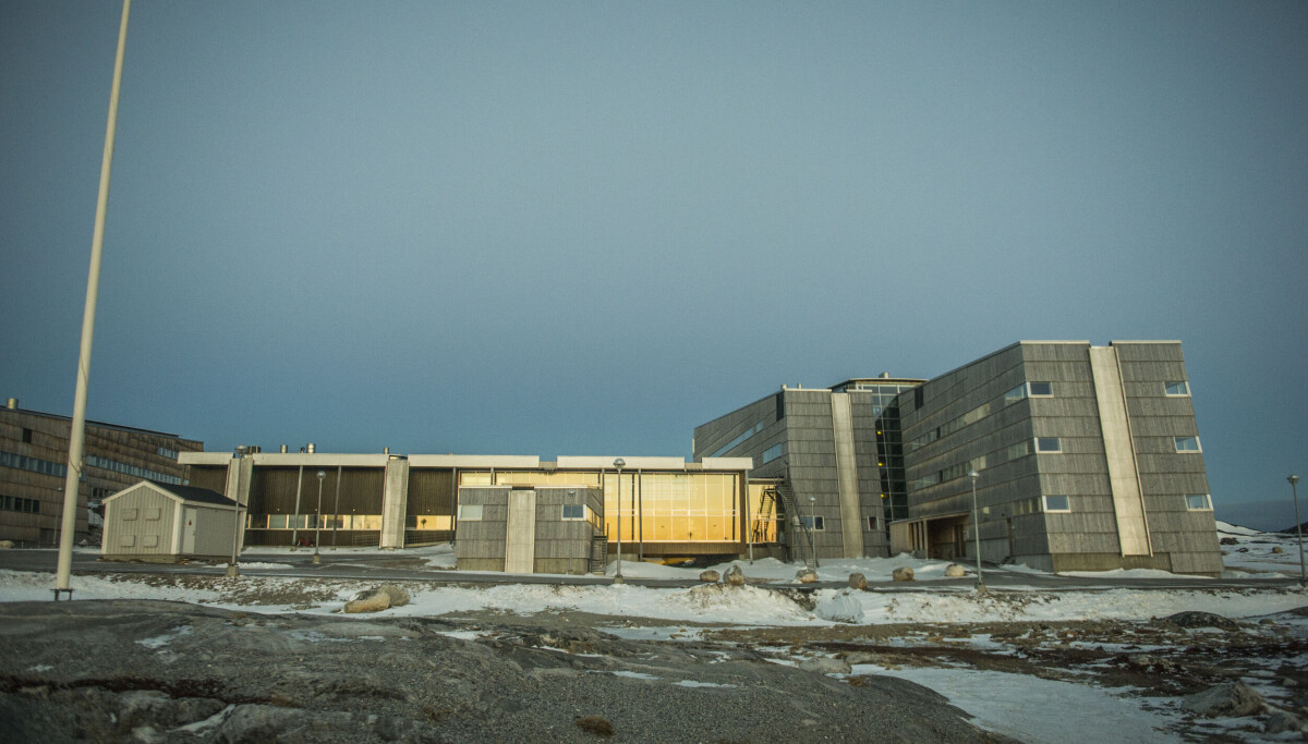 Ny Sygeplejeuddannelse på Ilisimatusarfik: Stor Efterspørgsel!