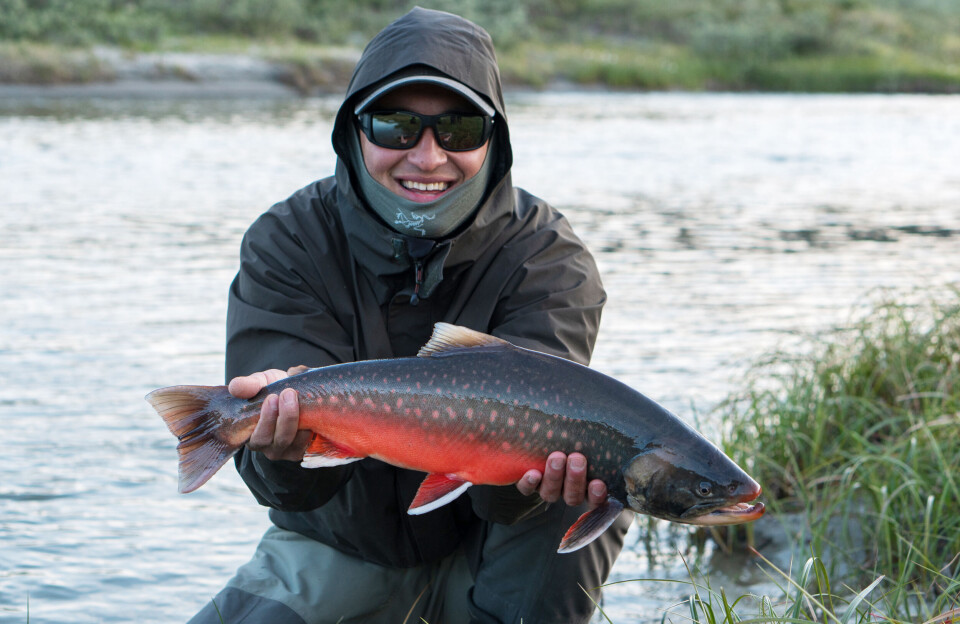 Iværksættere med succes