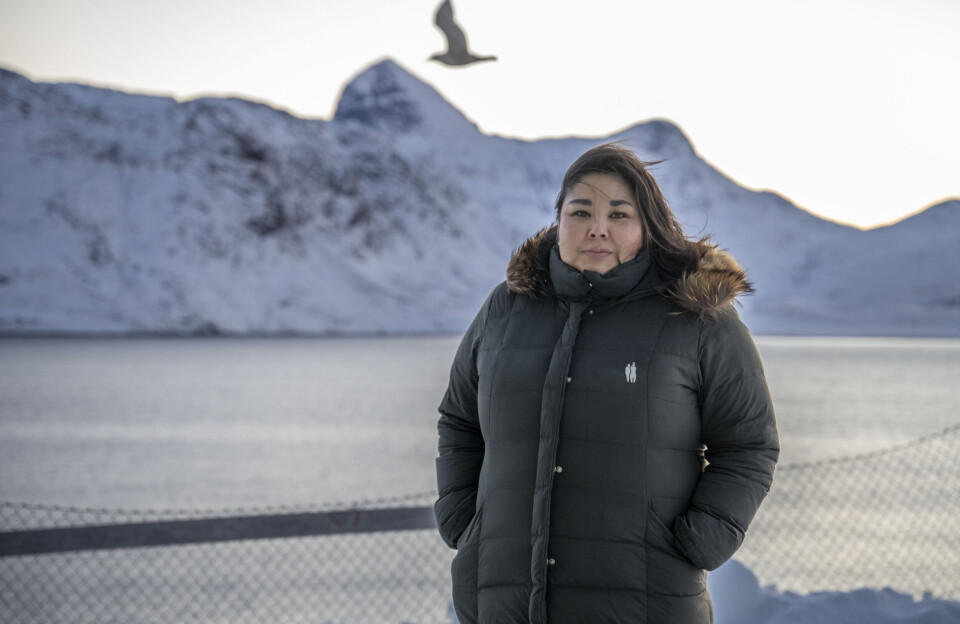 Afpublicering af 'Orsugiak – Grønlands Hvide Guld' møder skarp kritik fra TP