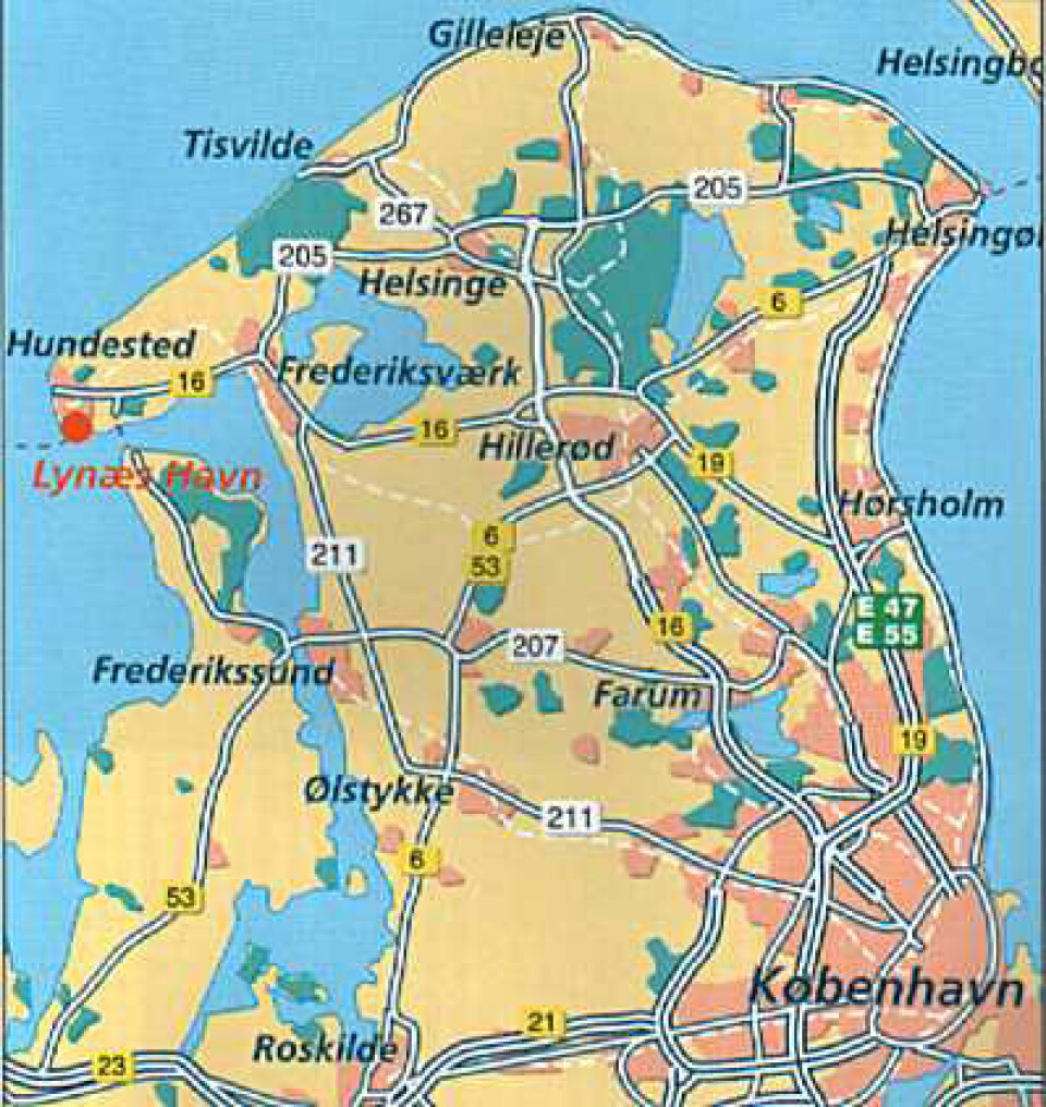 Hval set tæt på kysten i Nordsjælland, Lynæs nærmere betegnet.
