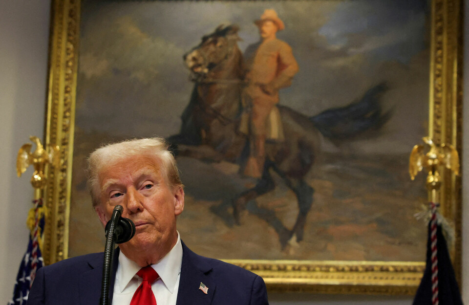 Republikaner bag Grønlands-forslag: Trump skal kunne sidde en tredje periode