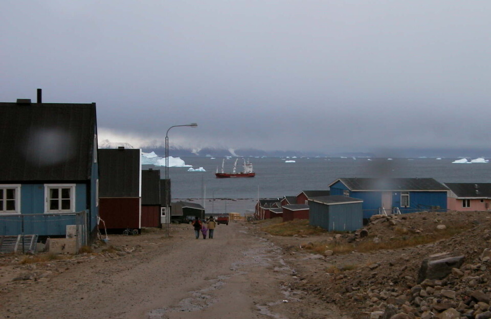Fugleinfluenza fundet i mallemukker ved Qaanaaq