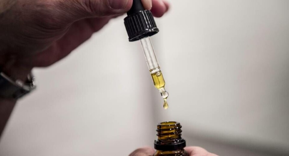 Borgere må ikke købe cannabisolier i eksempelvis Danmark og indføre dem.