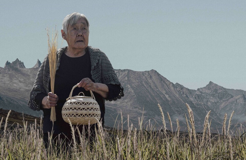 Ivigarsuarnik mersorneq pillugu filmi New Zealandimi takutinneqassaaq