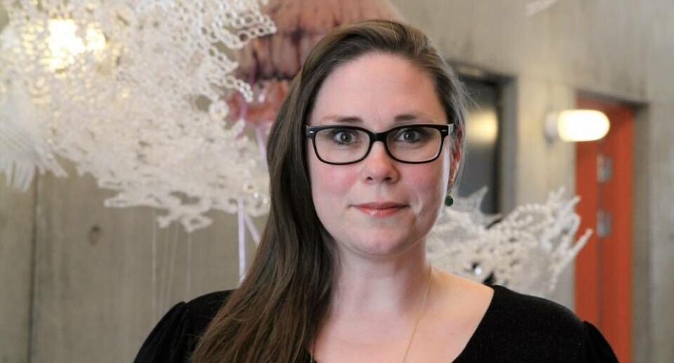 Grønlands Naturinstitut har ansat Mie Hylstofte Sichlau Winding som leder af Grønlands Klimaforskningscenter.