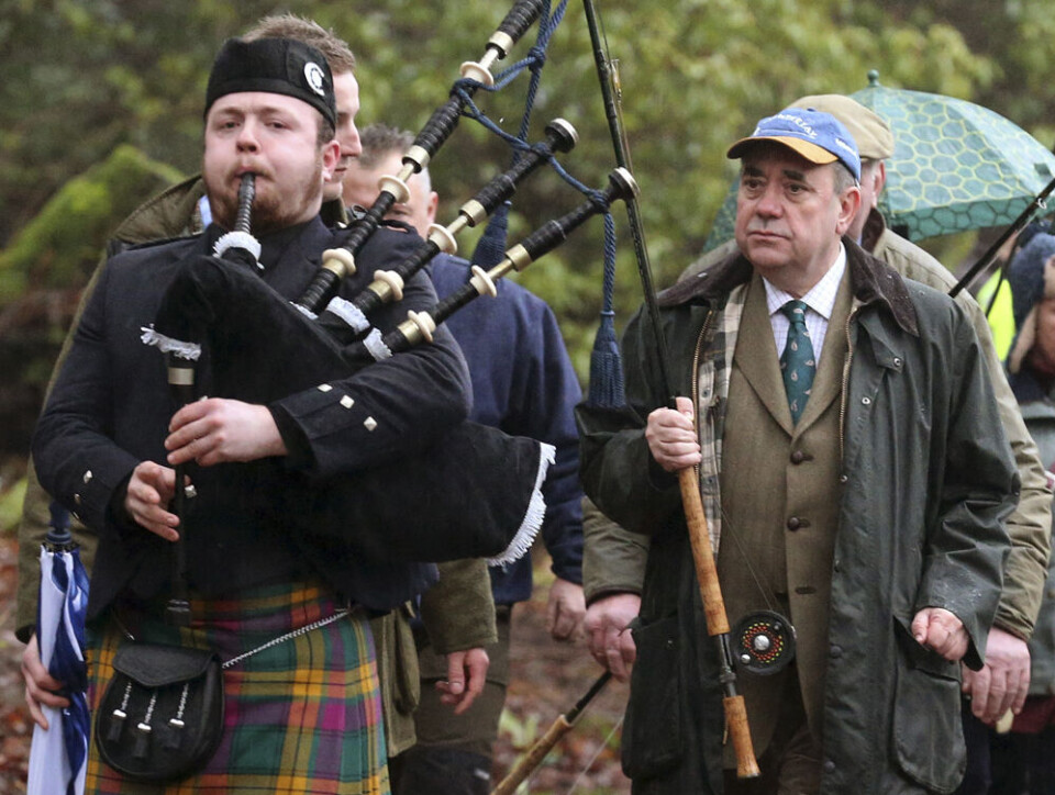 Alex Salmond beder skotterne stemme Skotland ud af Storbritannien, men han har måske trådt vælgerne over tæerne. Han kalder skotterne for drukkenbolte
