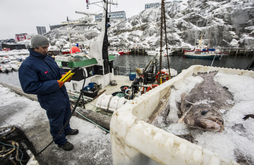 Vigtig beslutning om fiskekvoter trækker fortsat ud