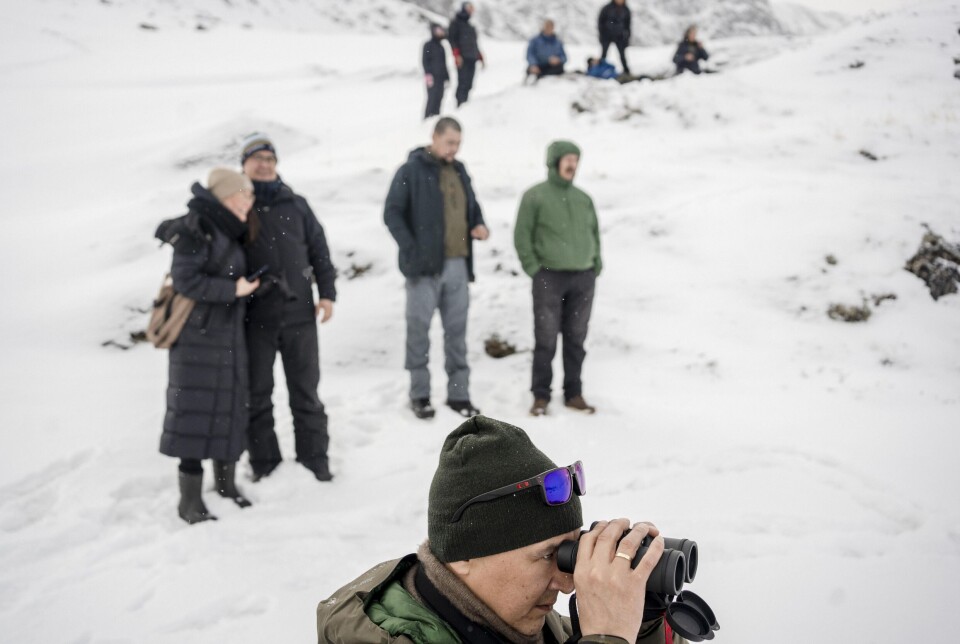 Tilskuere har fundet vej til en fjeldtop, for at få det bedst mulige udsyn til løbet. Distancen ned til hundeslæderne er lang, og kikkerten findes frem.