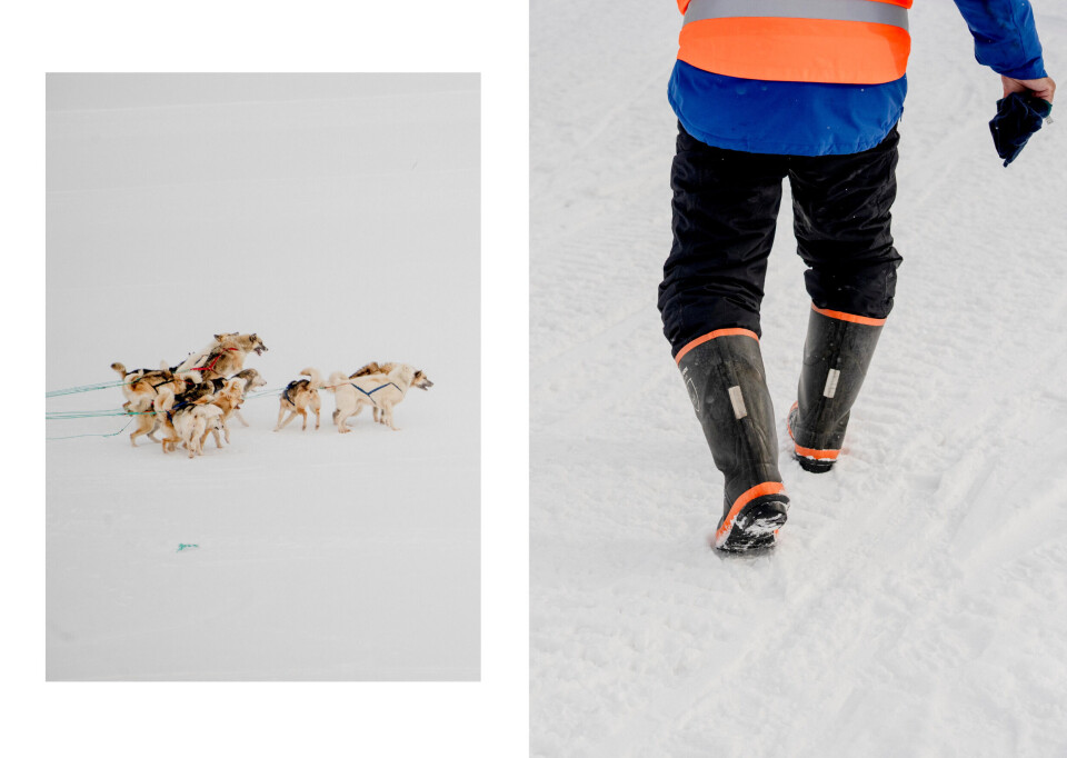 Forskellige vigtige transportmidler.