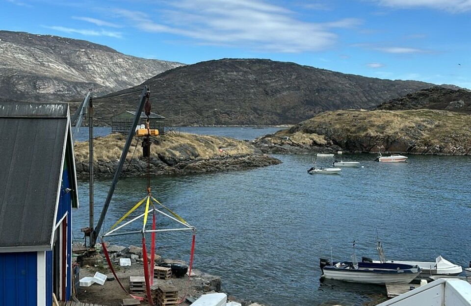 Fiskefabrik lukket siden februar: Royal Greenland lover genåbning