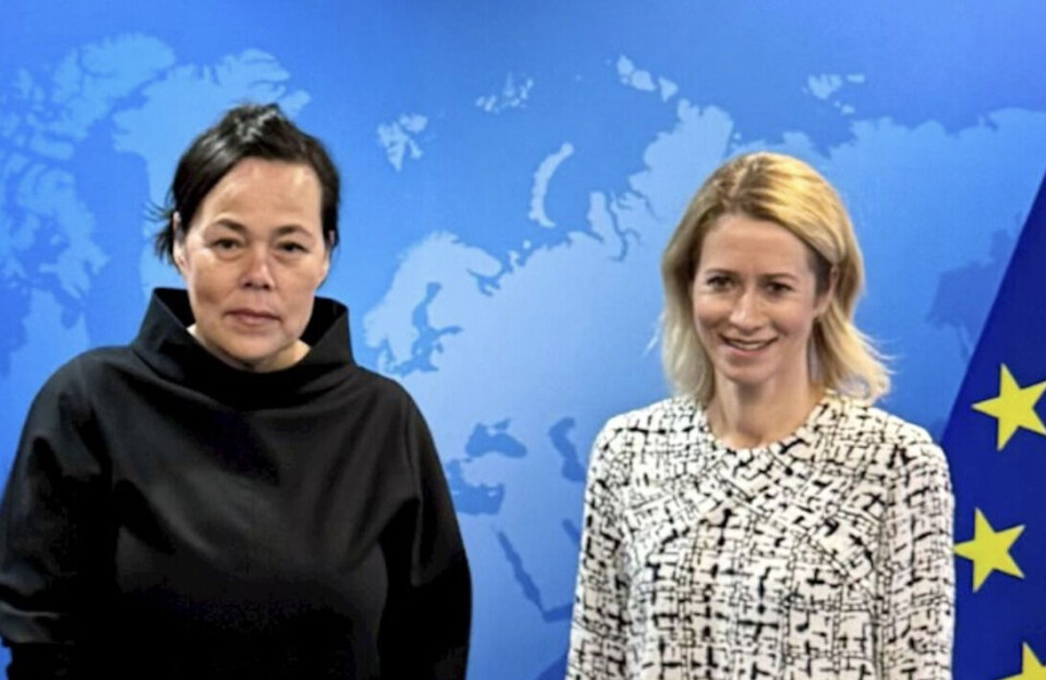 Motzfeldt takker EU for støtte i vanskelig tid