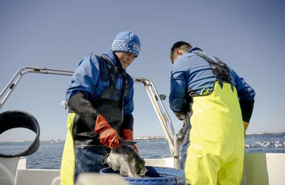 12 fiskere har fået joller med EU's sektorstøtte