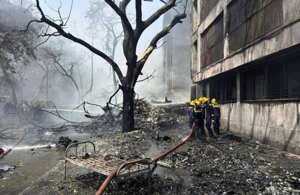 Indiami timmisartup nakkarneratigut inuit 290-nit amerlanerusut ajunaarput