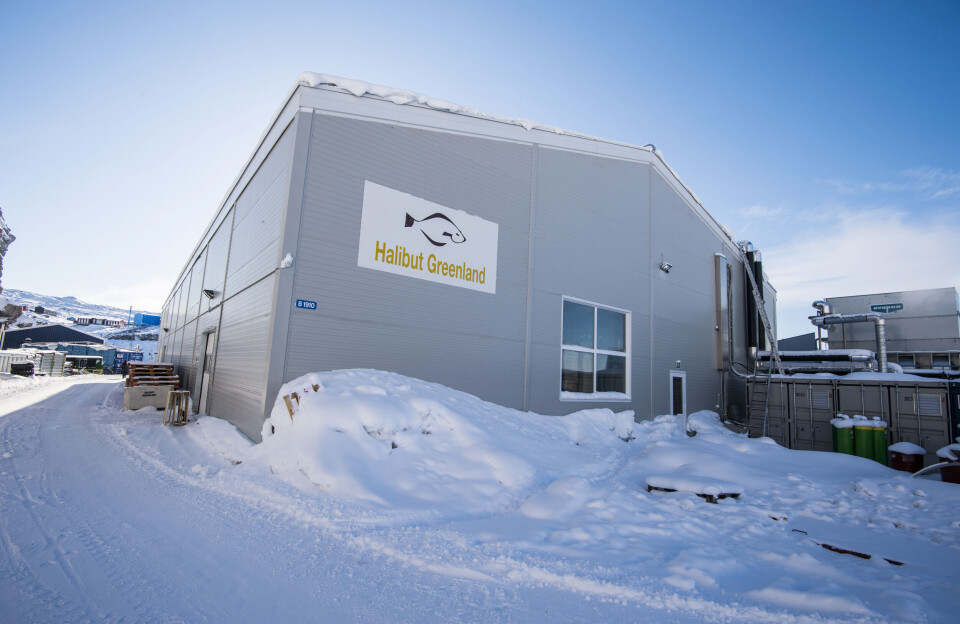 Halibut Greenland skruer op for investeringerne