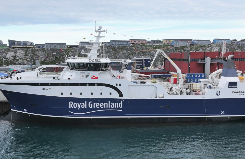 Royal Greenland har forbedret indtjening men kæmper igen med millionunderskud