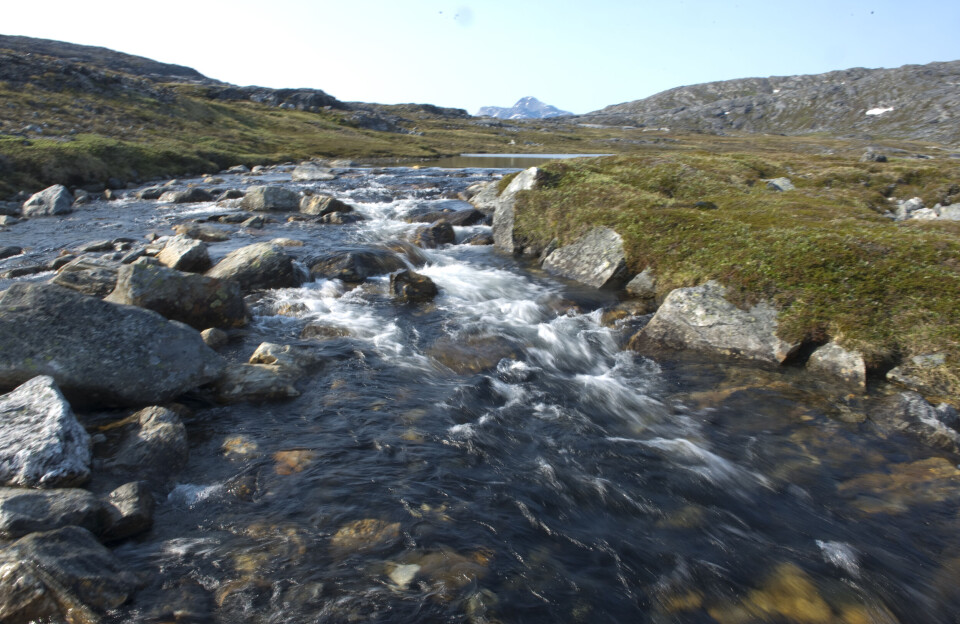 Kirken anerkender askespredning i naturen