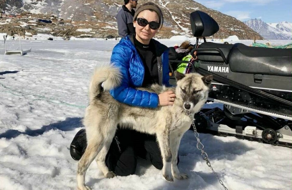 Manuminap amaqqut ukiuni 4000-ini qanoq pisimanerat oqaluttuaraa