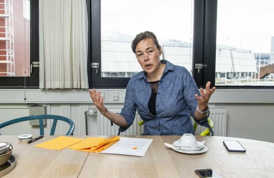 Vivian: USA’s nye Arktis-strategi er opløftende