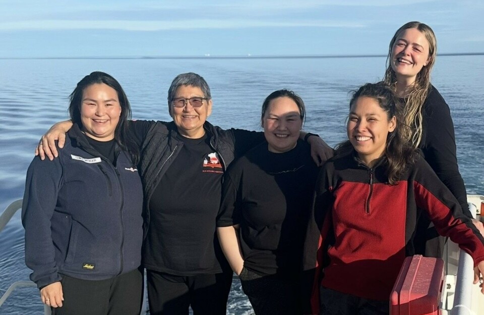 Imarsiornermi arnat amerlanerulersut