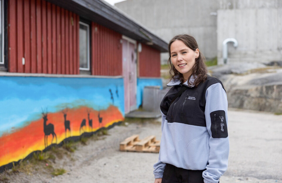 Ungdomshus forskønnet