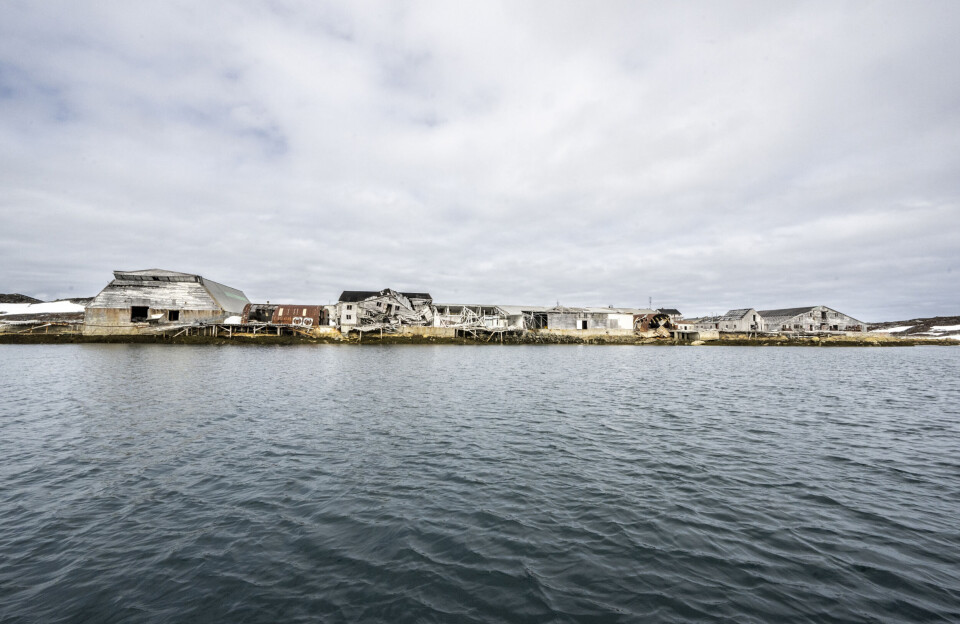 Qangali suliarineqalersoq