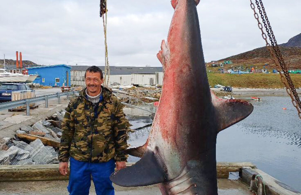 Eqalussuaq qaqutigoortoq pisarineqartoq
