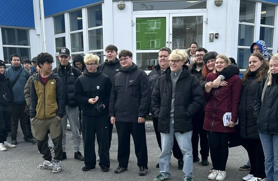 Samarbejdsprojekt: Elever på udveksling