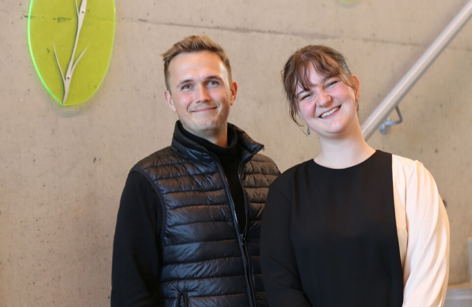 Gæstestuderende på Ilisimatusarfik: Fedt, spændende og superrelevant