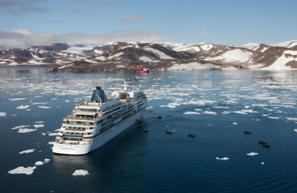 Lufthavnsvej med ræve og isbjørne