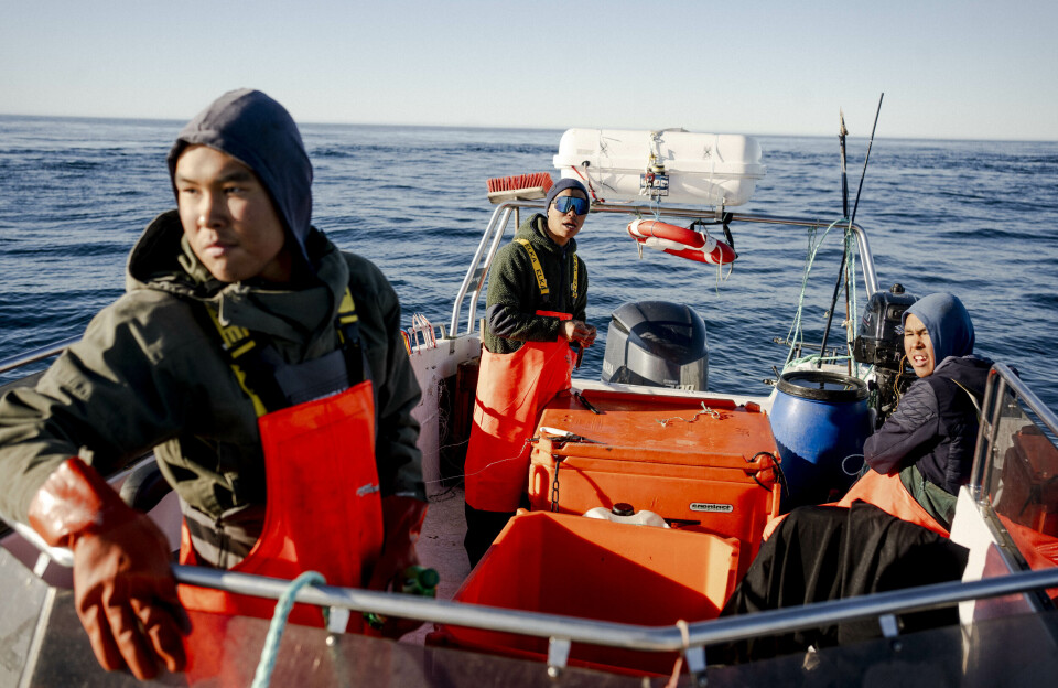 Enos indhandler fisk til den nye fiskefabrik i Tasiilaq: – Nu kan jeg forsørge min familie
