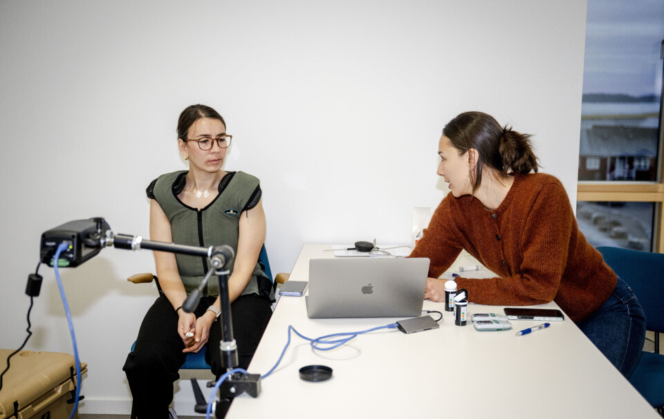 Forskerne jagter det brune fedt i Grønland